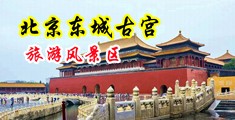 日老美女逼逼中国北京-东城古宫旅游风景区